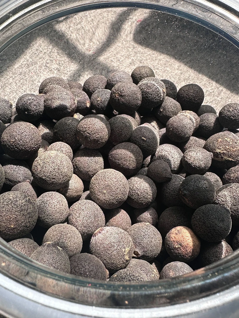 【浓浓薄荷香】188号2014年西甲圈枝大柑胎自然生晒泡水（250g/500g）