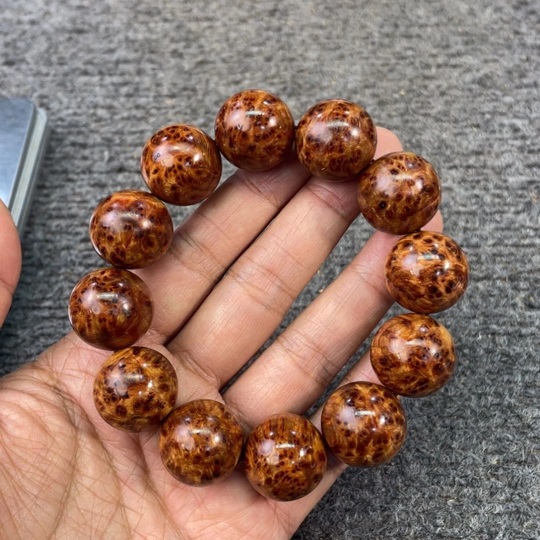 你****柏木（崖柏）666666666666666