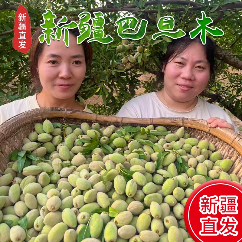 新疆新鲜现摘绿皮巴旦木当季水果原味带青壳即食扁桃仁巴达木
