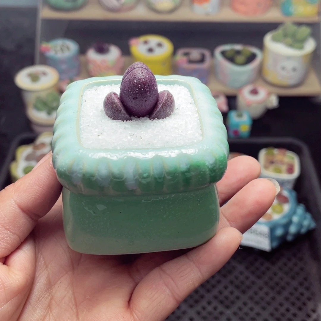 w8650 带盆土发货-零下地区拍保温箱