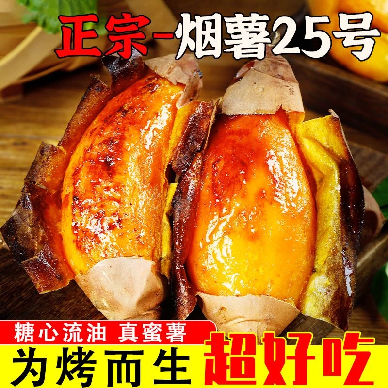 沃野农乡|正宗烟薯25号新鲜蜜薯香甜流油烤薯店同款河北中秋烟台