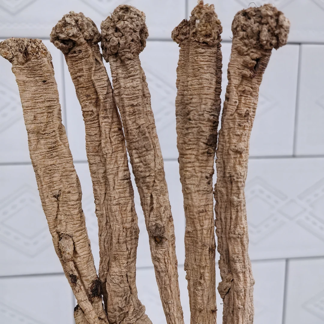 党参！野党参无硫干货（生长15年左右无硫自然晾晒（250克不超过20条