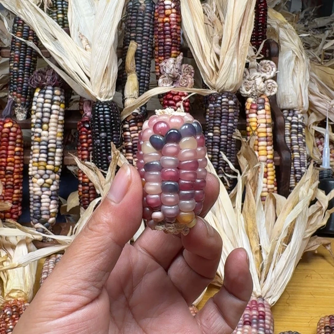 晓***磊柏香籽/百香籽吊坠