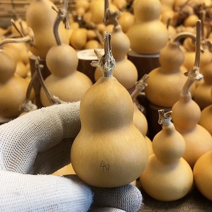 文玩葫芦 完美主义者 慎拍40