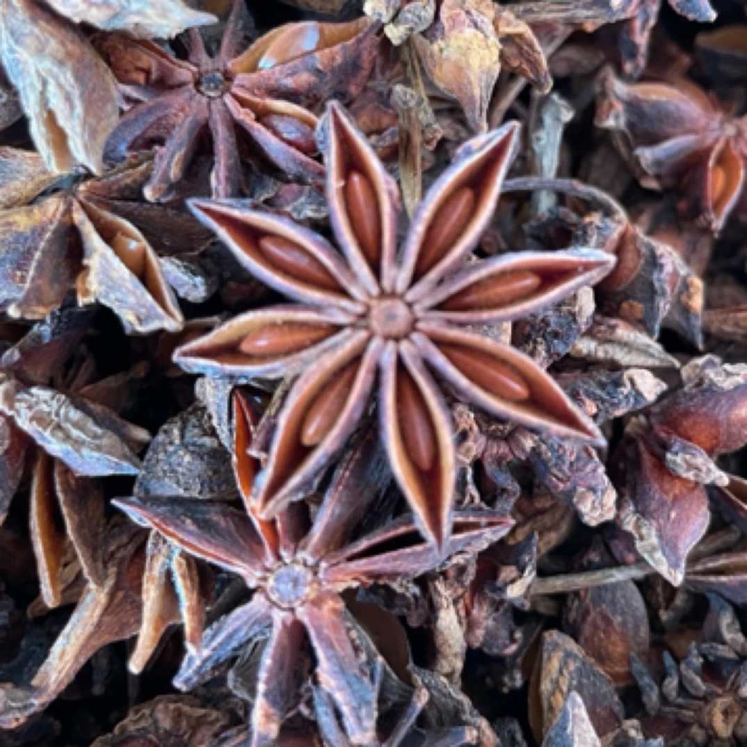 正宗广西无硫纯干大红八角大料香料卤味烧菜调料产地直供批发卤肉