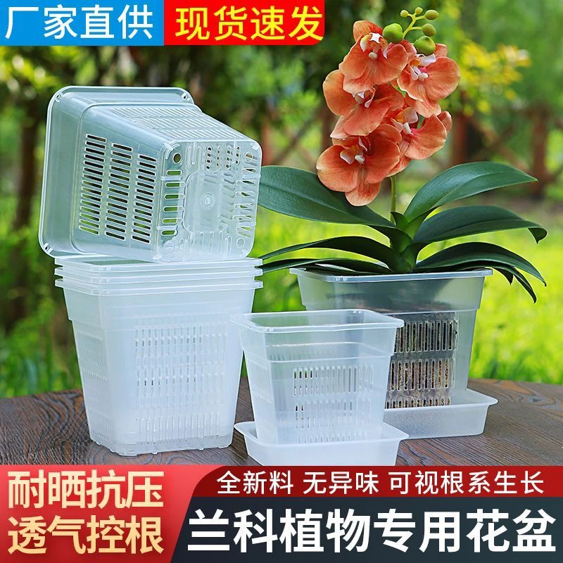 兰花盆栽方盆加厚透气塑料花盆控根盆蝴蝶兰定植篮洋兰绿萝透明篮
