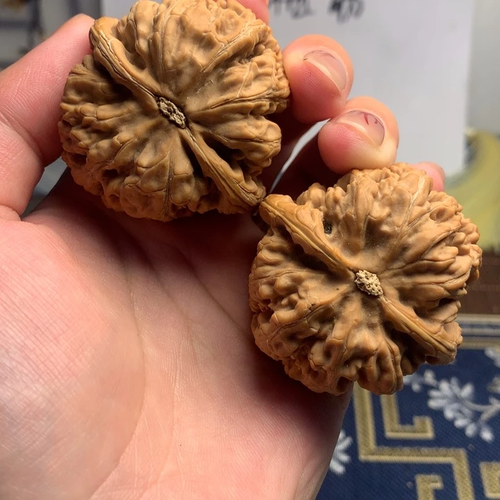 吊坠文玩核桃富*啊粗筋