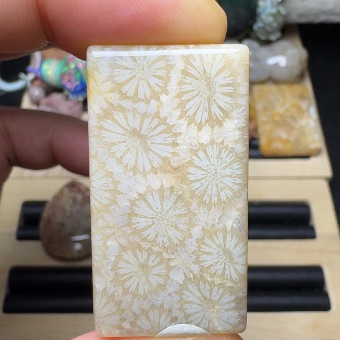 硅化玉未镶嵌纯天然色有机玉石保真色