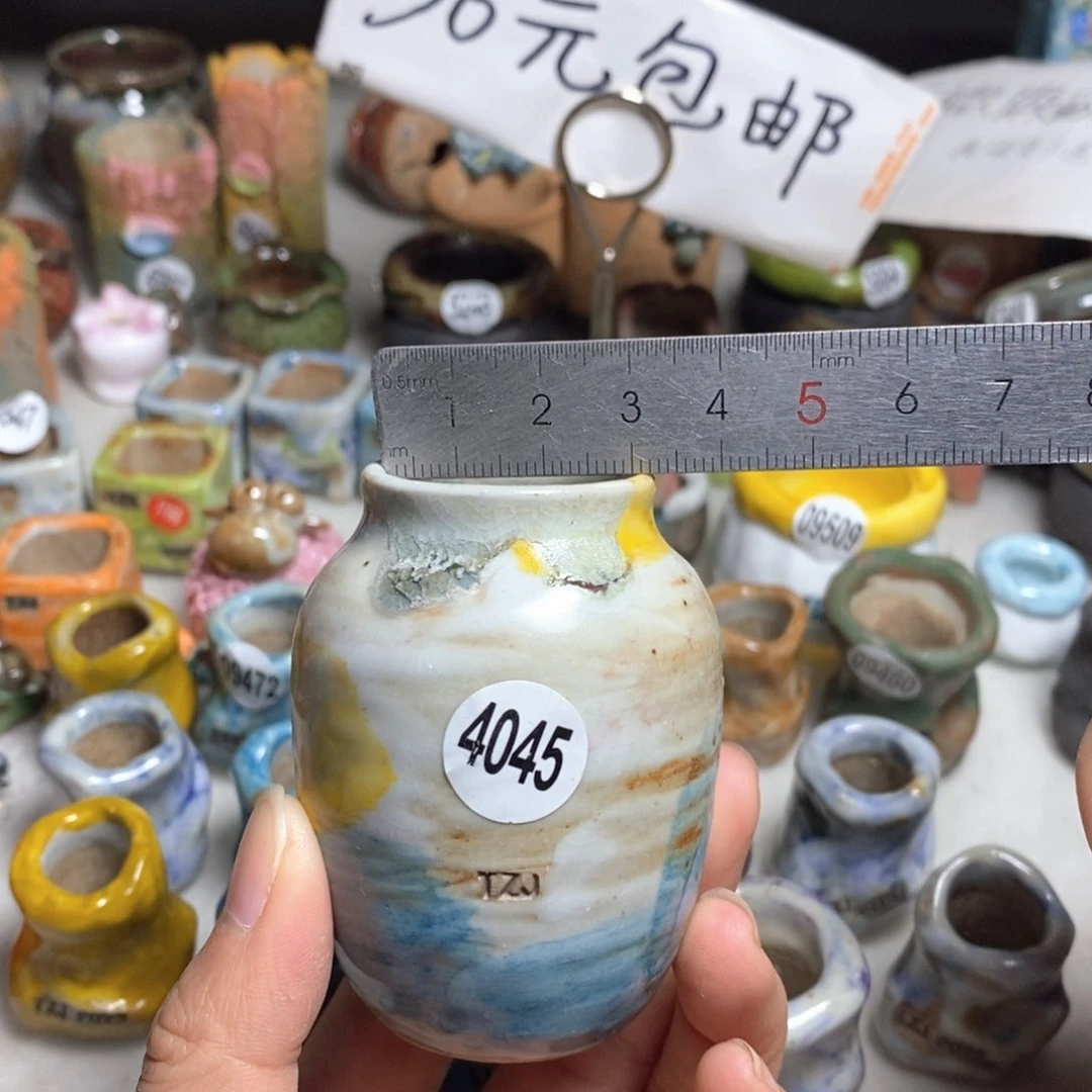 拍5送一个小礼物