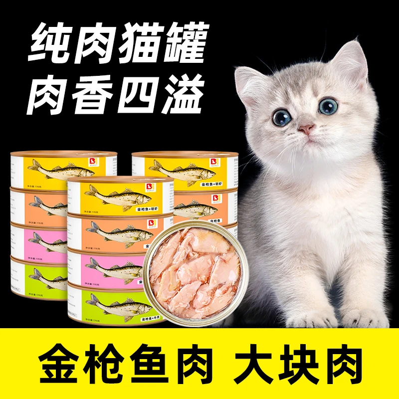 幼猫罐头2一3个月布偶猫橘猫英短蓝白小奶猫幼崽猫咪金枪鱼肉湿粮