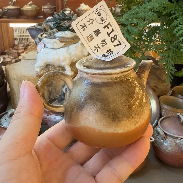 瓶柴烧福利新品多多