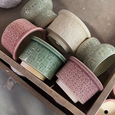 6个····全是福利····