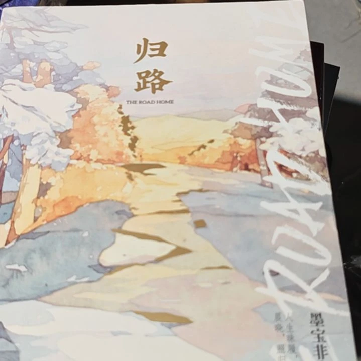 归路平装库存书库存书（务必塑封）