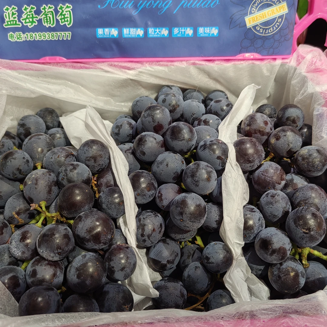 蓝莓葡萄，皮薄多汁，22元一箱（3斤）新疆维吾尔自治区
