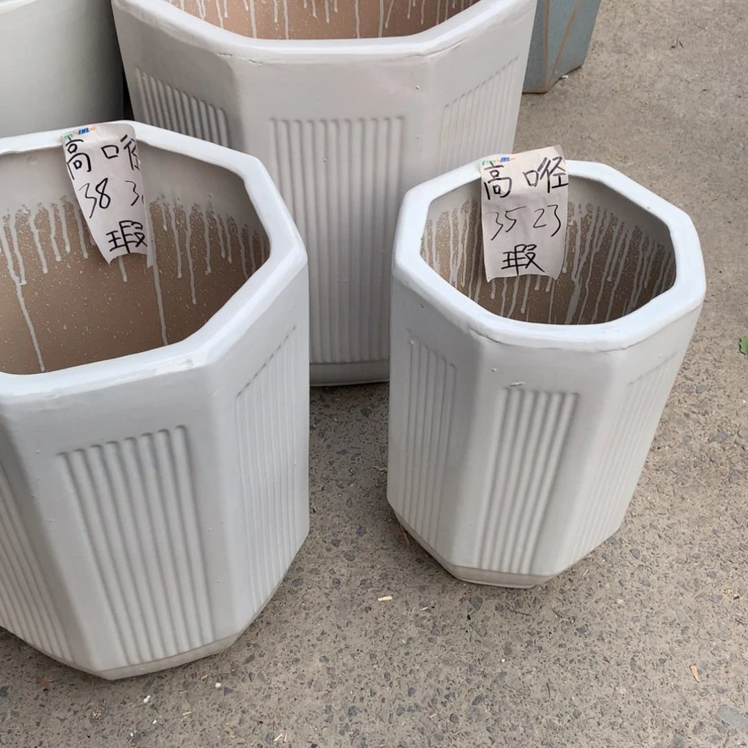 花盆里的小猫咪们都好可爱啊哈哈