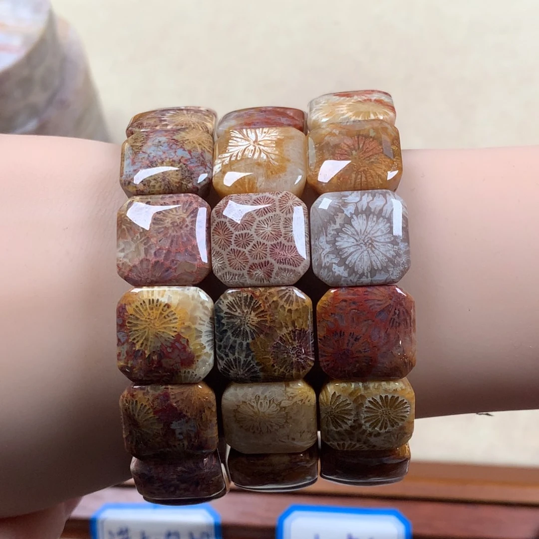 未镶嵌上新手排400/个，可挑。09硅化珊瑚（珊瑚玉）