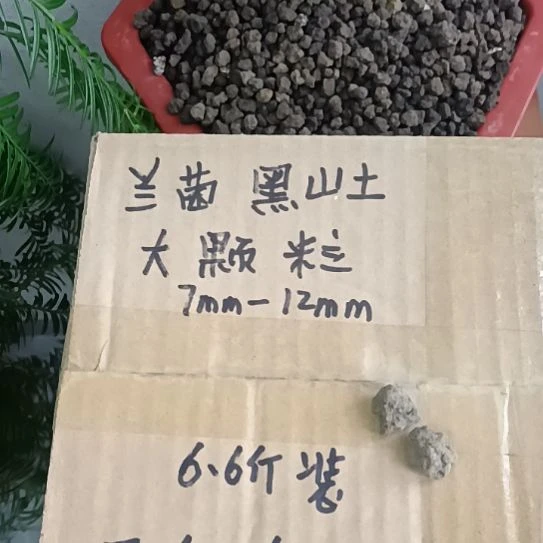 牛***哥兰菌黑山土大颗粒6.6斤