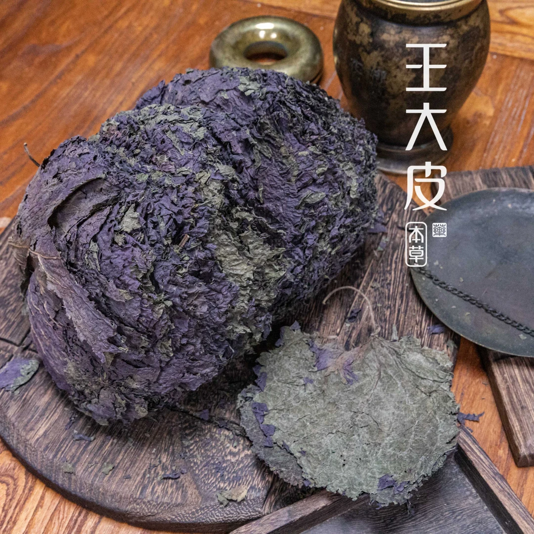生紫苏叶 道地高品质经方经典优质正宗原产地直邮新鲜