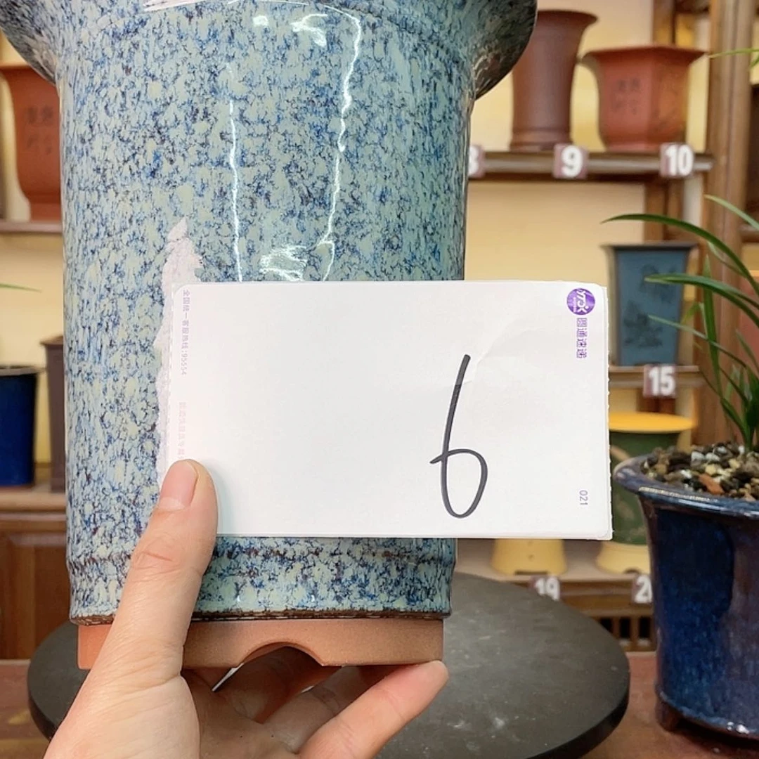 【闪购商品】紫砂花盆梅*宝兰花643465484546434646