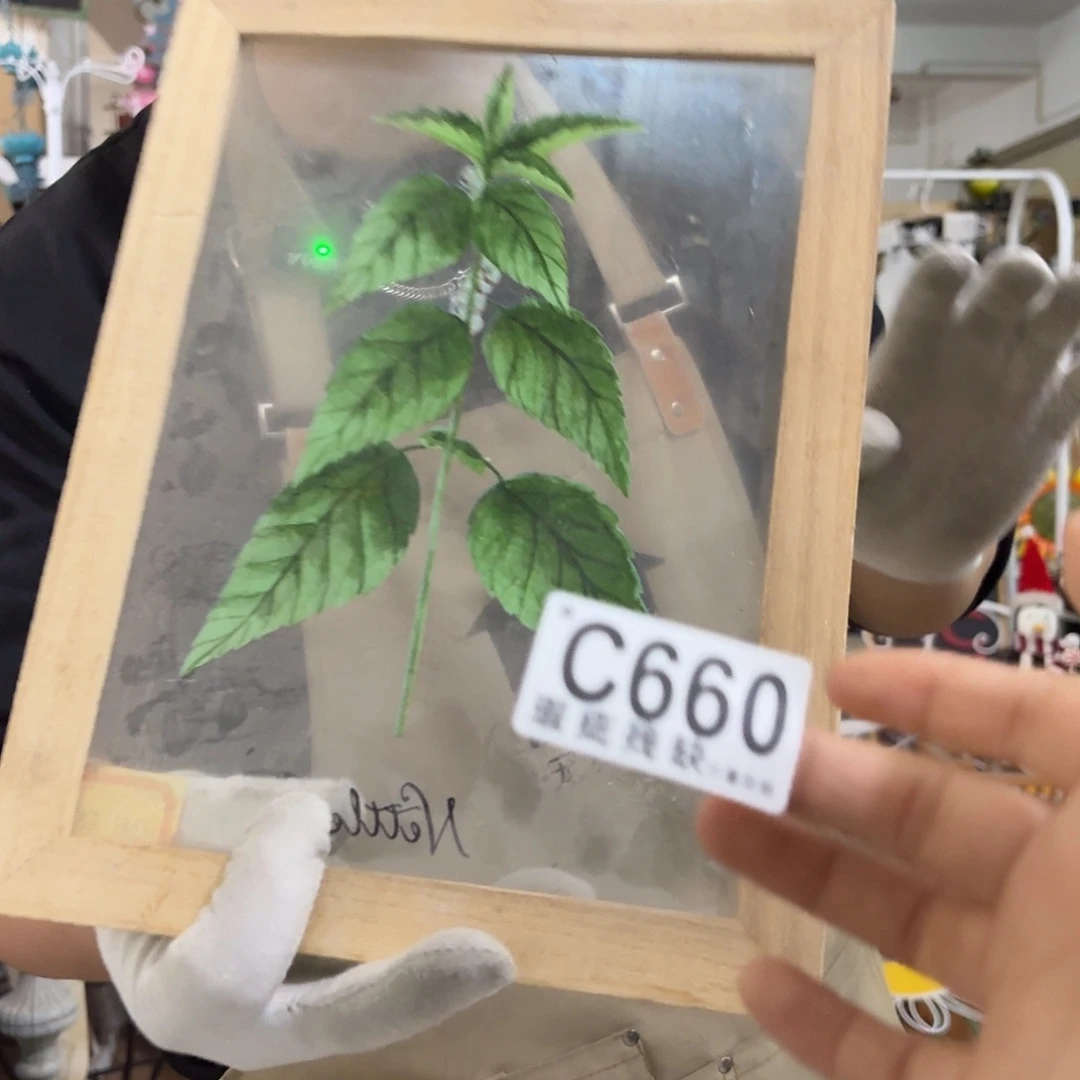 核桃木/黑胡桃（胡桃木）