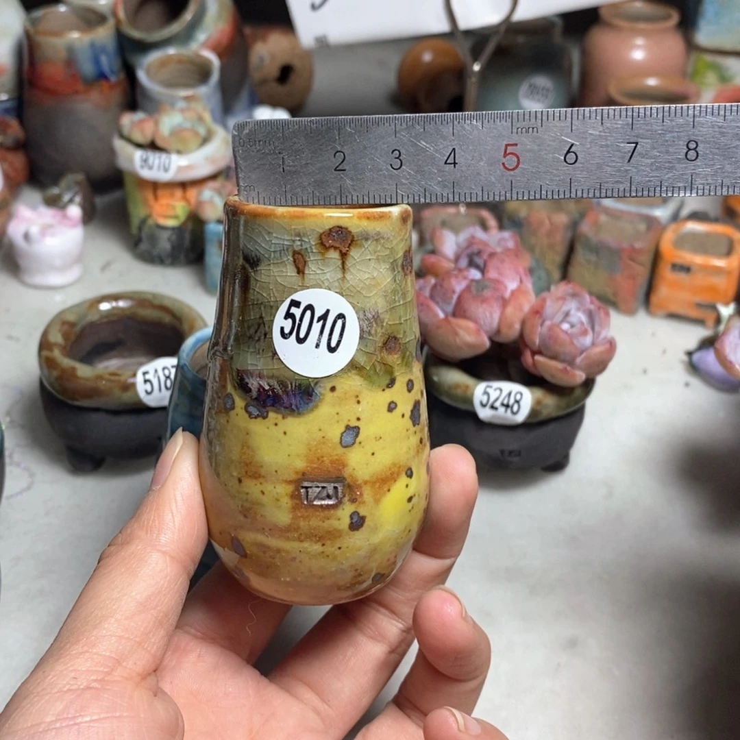 拍5送一个小礼物