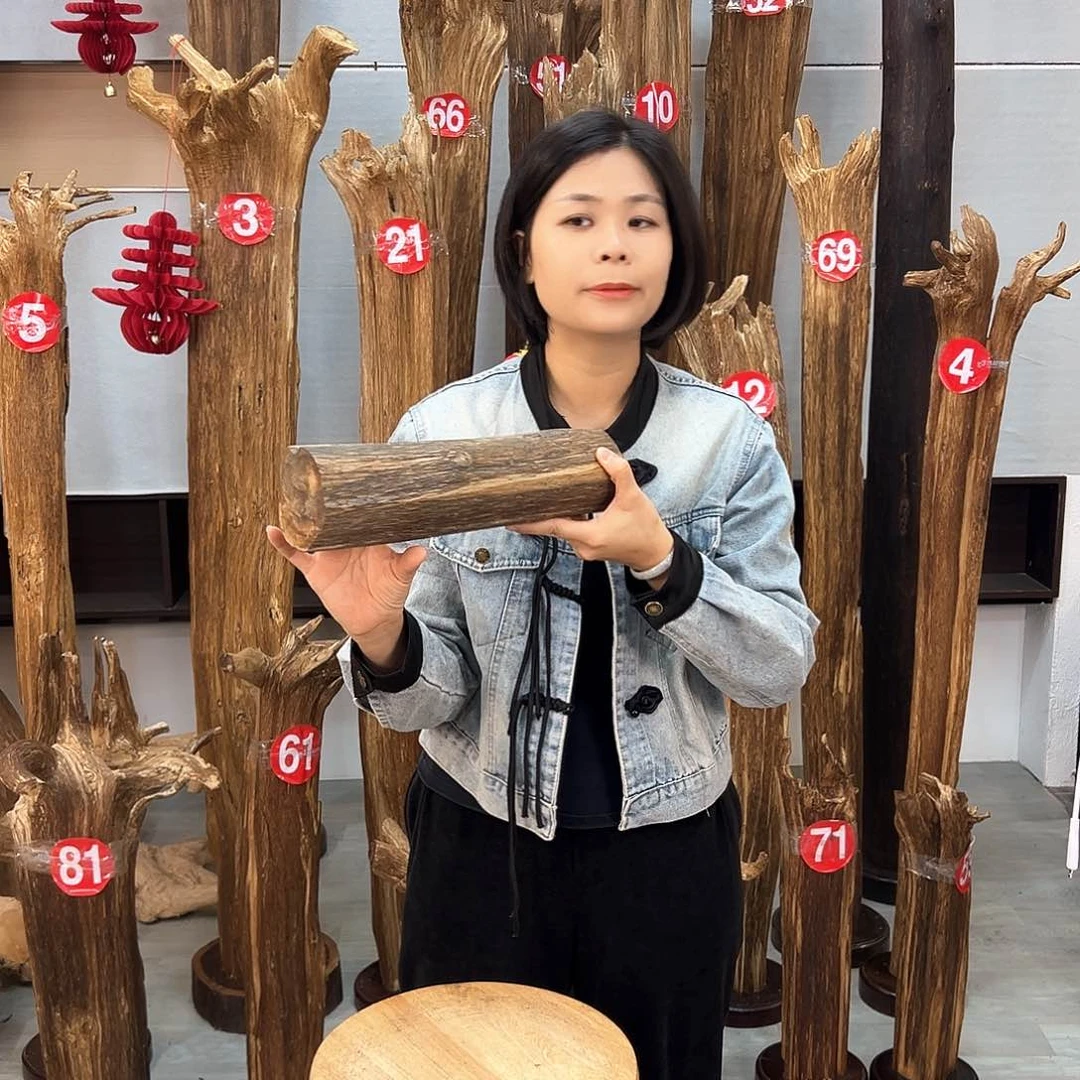 沉香摆件海南沉香摆件