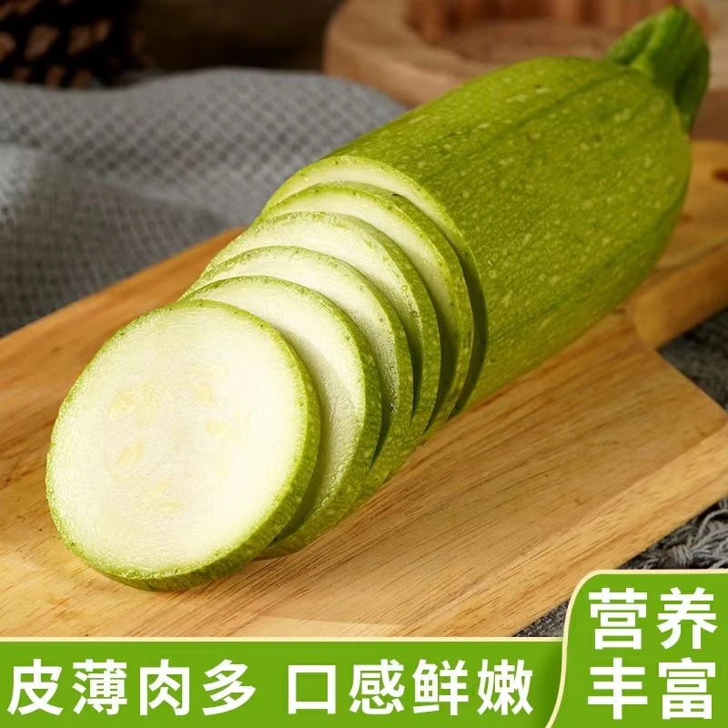 （智富惠农）新鲜西葫芦三月瓜现摘时令农家蔬菜