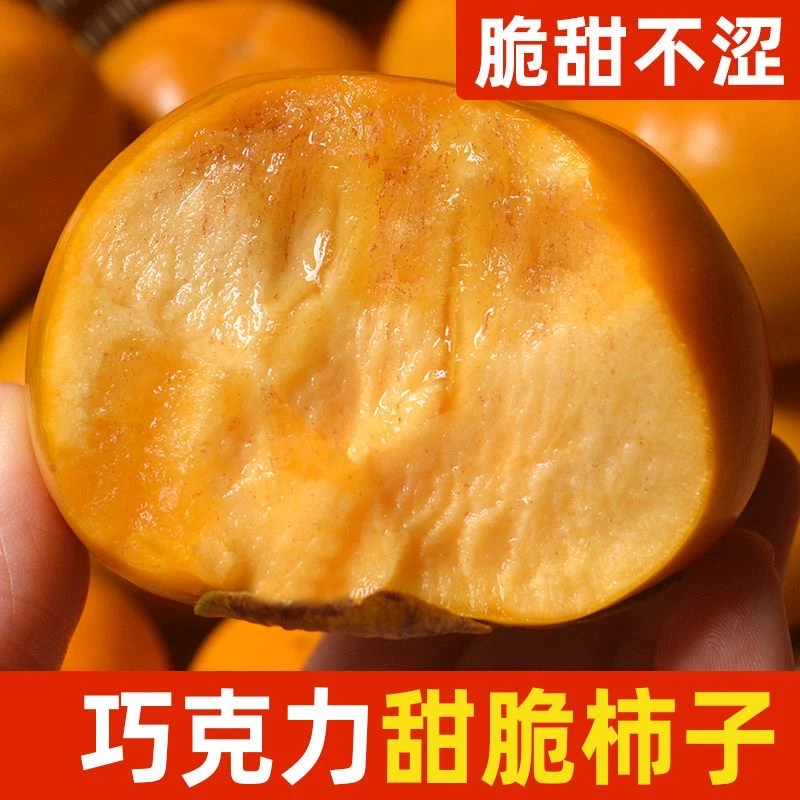 现摘现发巧克力脆甜柿子清甜可口嘎嘣脆无核当季水果HD