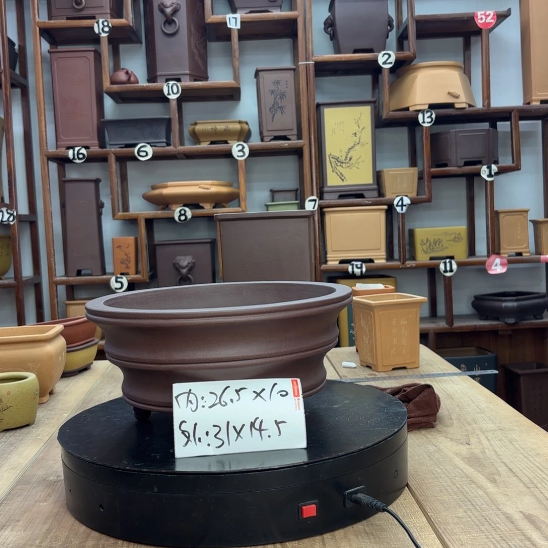 紫砂花盆文***树福利秒杀不差价