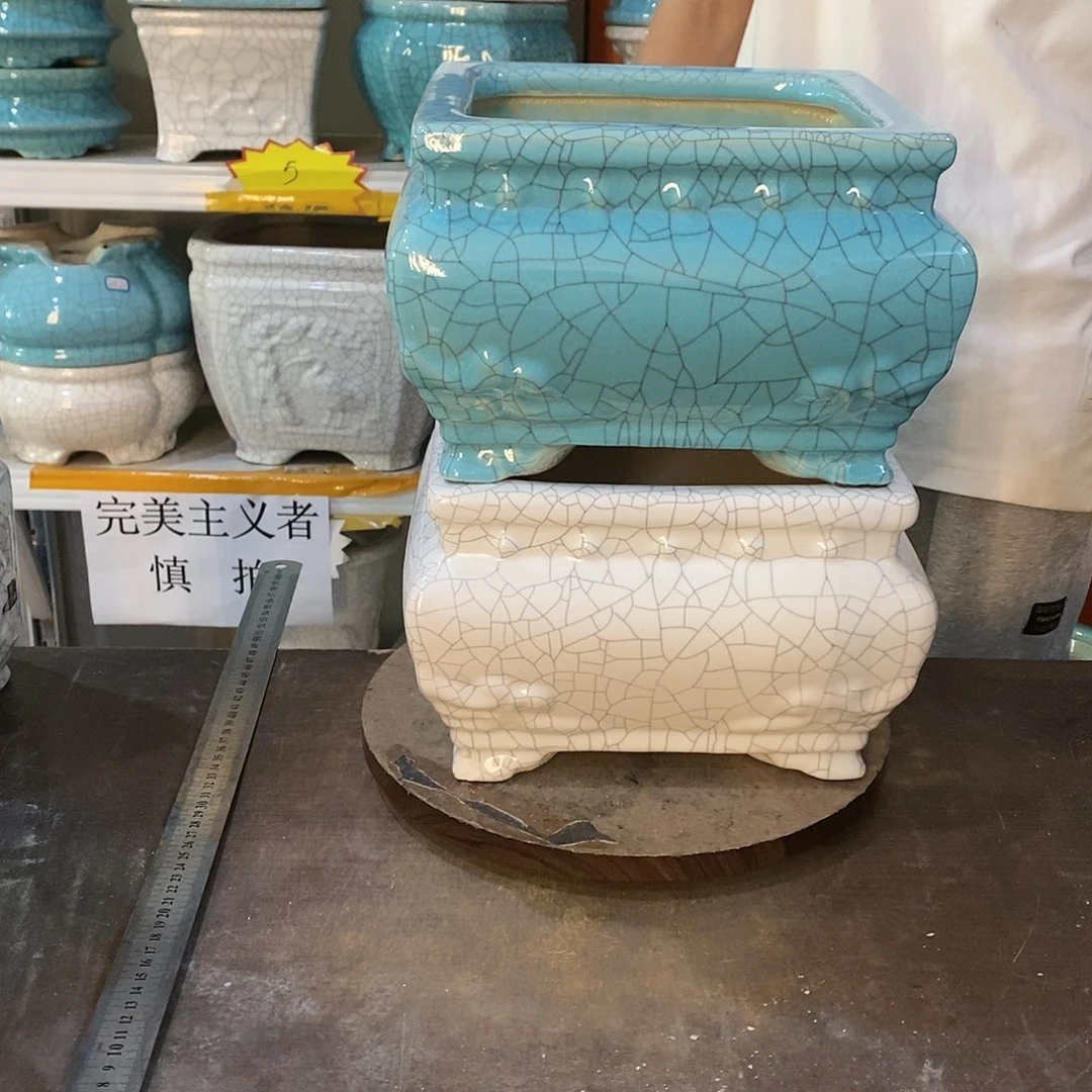雅**）花盆花盆里的花