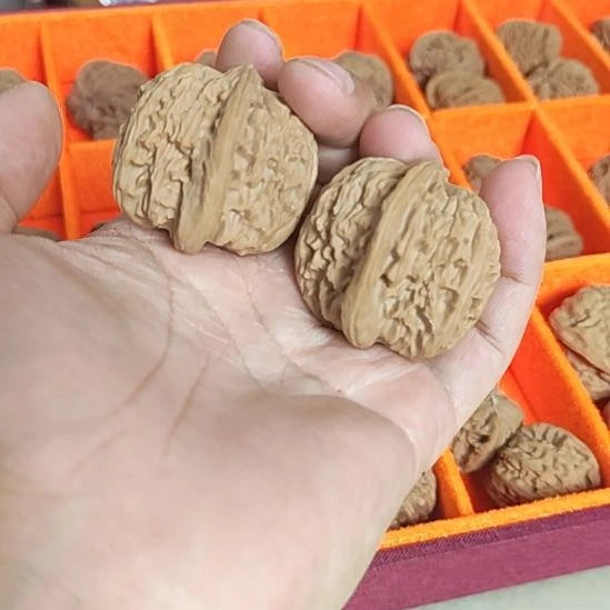 空***白把件文玩核桃白狮子异形朋友福利