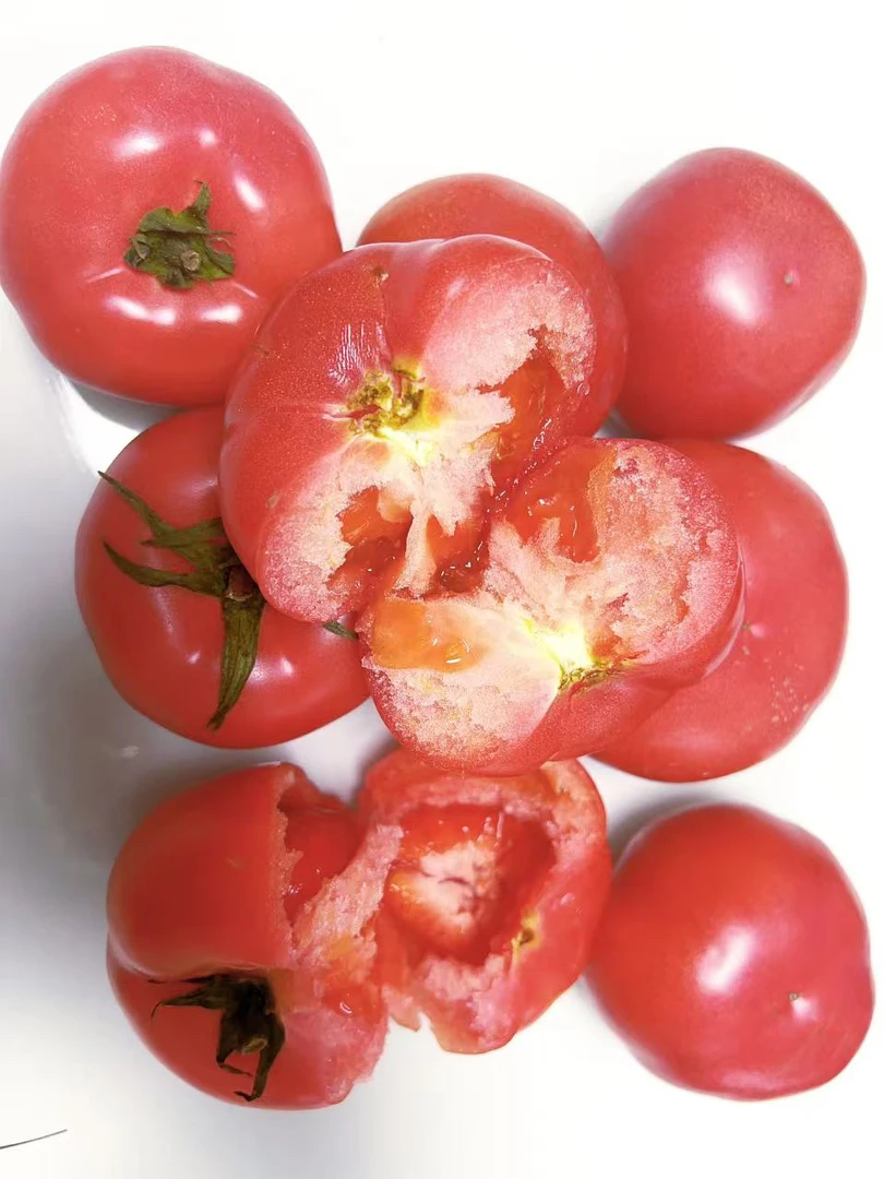 新鲜沙瓤西红柿自然熟番茄水果