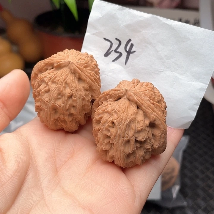 40+尺寸白茬无修白狮子