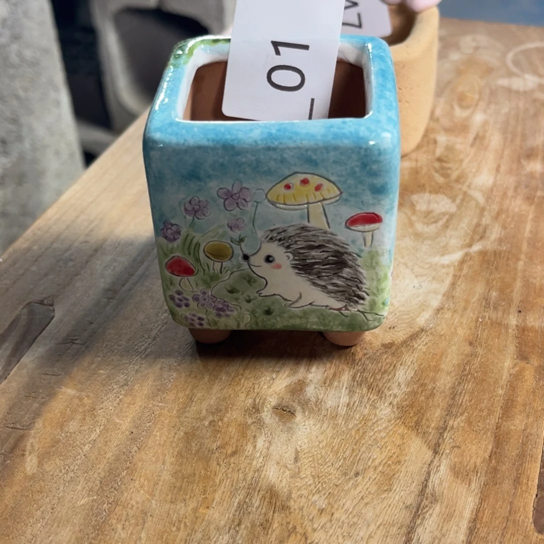 *****01多肉花盆45元1个