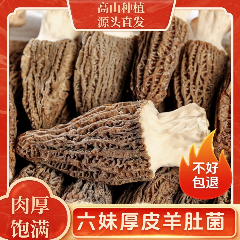 【产地直发】四川金堂高山头茬肉厚羊肚菌 煲汤炖汤食材