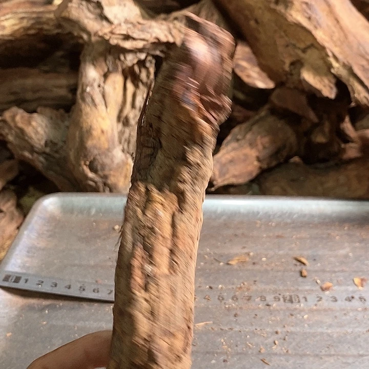 花梨木类豆海南花梨