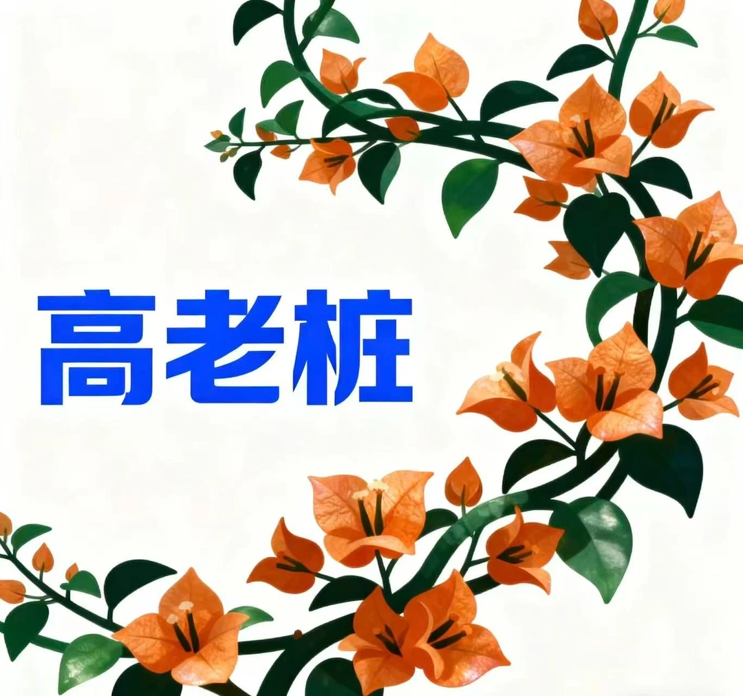 三角梅原盆原土带花盆栽勤花双色可庭院阳台种植