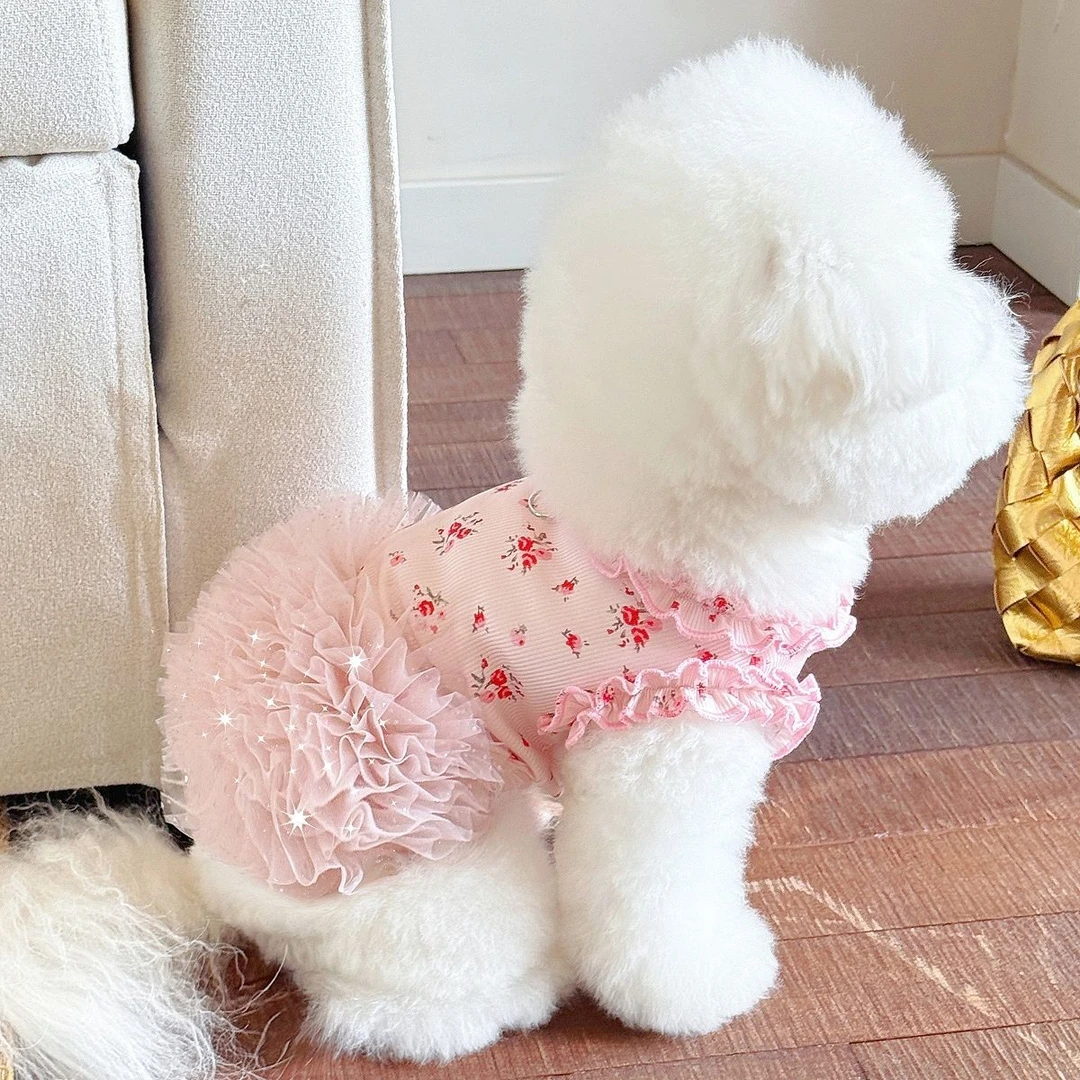 狗狗衣服春夏季薄款公主蓬蓬裙透气宠物公主风猫咪小型犬碎花裙子
