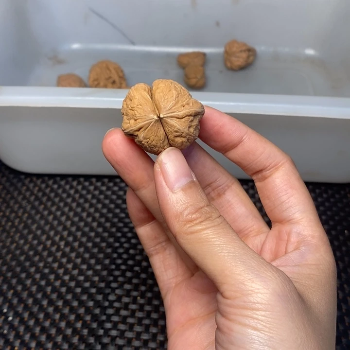 飞***觉吊坠文玩核桃文玩核桃异形单只