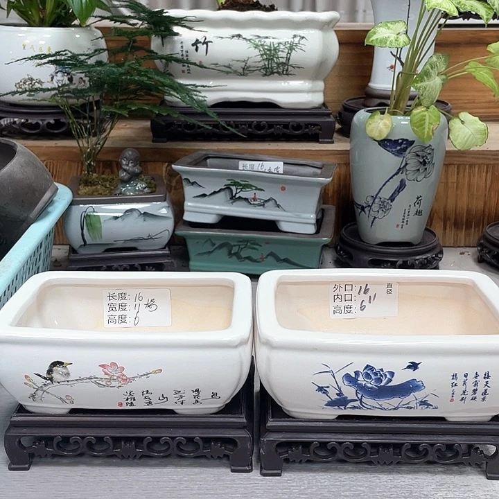 陶瓷花盆抢购福利活动