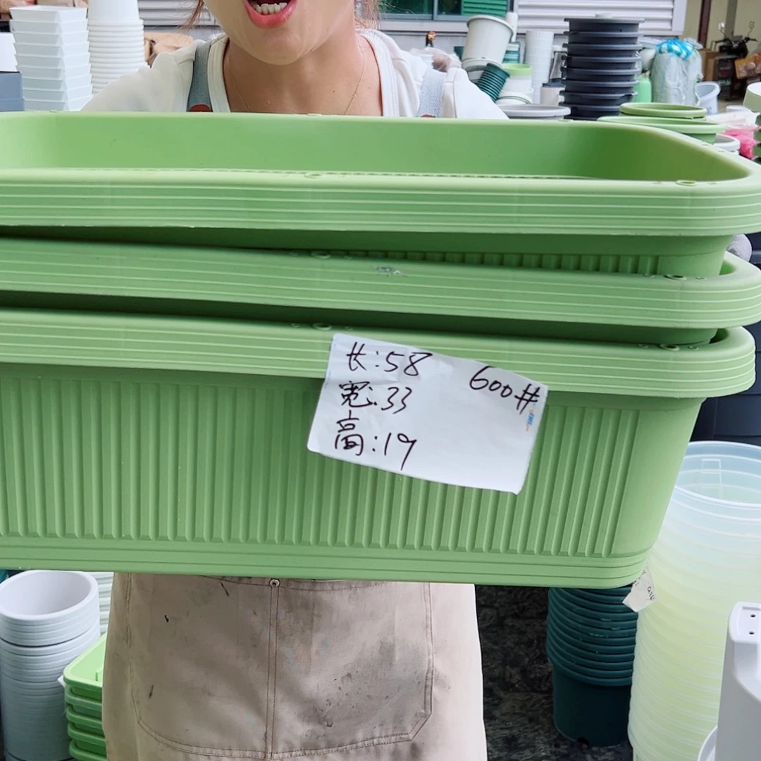 菜盆600#果绿色5个无托