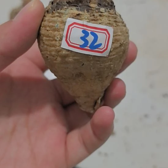 一物一拍，银铁块根
