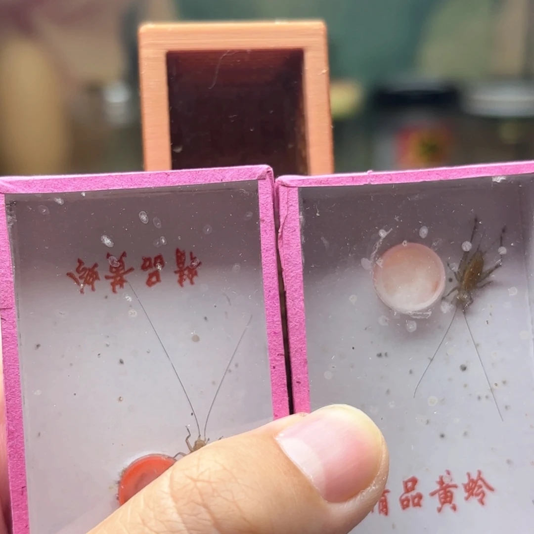 哈哈哈哈哈哈哈哈哈