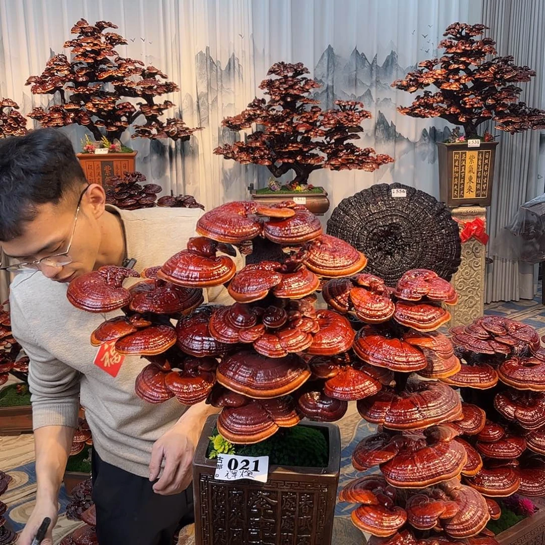 辉***仁无花朵888888888888