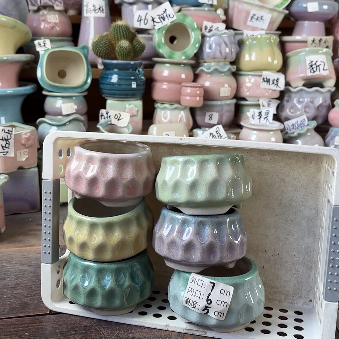 量货/6口高5深浅搭配发6