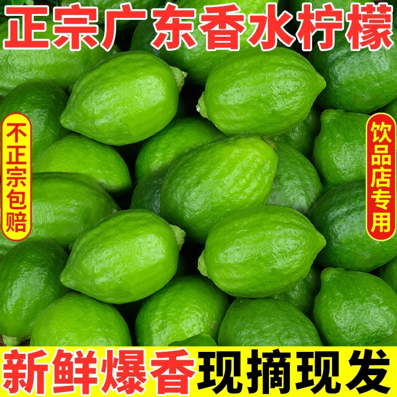 正宗广东香水柠檬果园鲜摘新鲜柠檬商用奶茶店专用柠檬茶鲜果统货