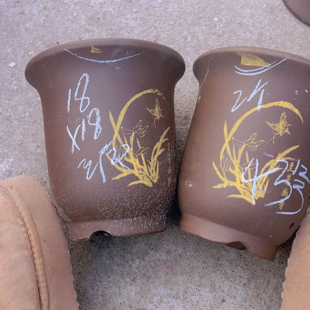 紫砂43………………………………