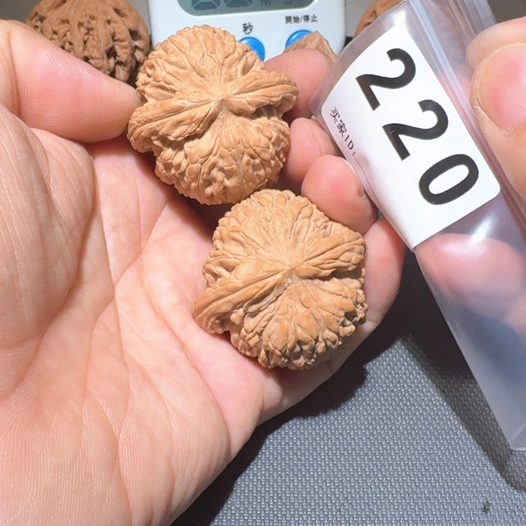 青***远把件文玩核桃白狮子41