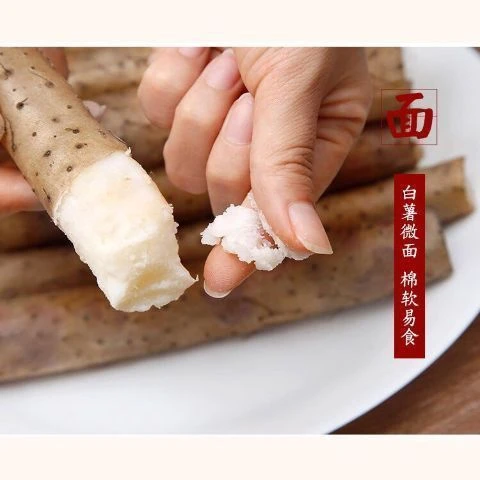 河北垆土铁棍山药小白嘴新鲜现挖面糯香甜营养美味