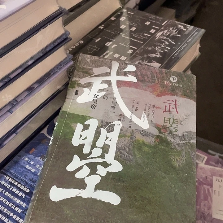 武曌：微瑕图书系列